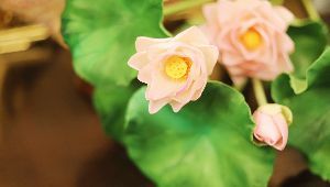 真覚寺【内部】