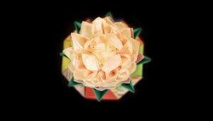 真覚寺【内部】